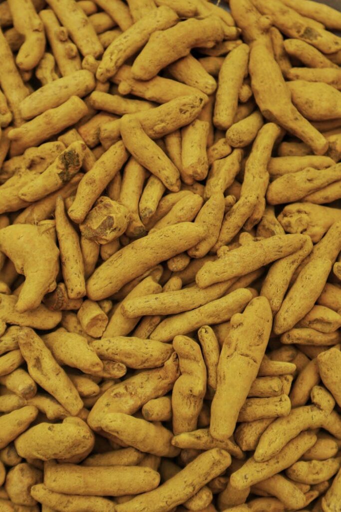 Pure Turmeric Powder | High Curcumin Haldi | TAVRAJ Close-up of organic turmeric roots in a Jaipur market, showcasing their natural texture.