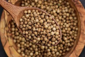 Coriander Powder vs Coriander Seeds: Which Should You Use? Detailed view of coriander seeds in a wooden spoon, emphasizing texture.